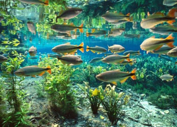 Dez lugares populares do turismo ecológico do mundo