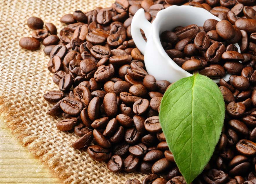 Shanghai quer ter o maior centro do negócio de café na ásia