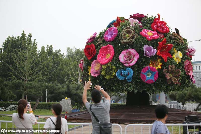 Canteiros de flores no centro de Beijing para celebrar aniversário da vitória contra agress?o japonesa