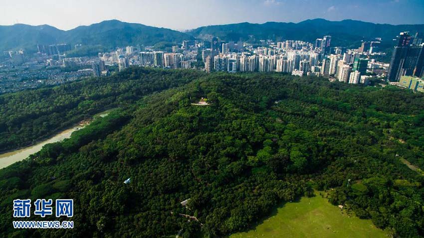 35o aniversário da funda??o da Zona Econ?mica Especial de Shenzhen