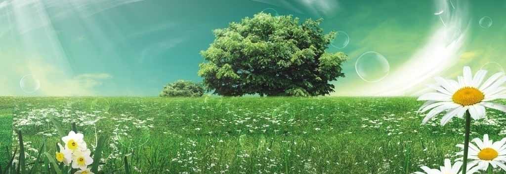 Cidad?os chineses ir?o passar a ter participa??o ativa no combate à polui??o