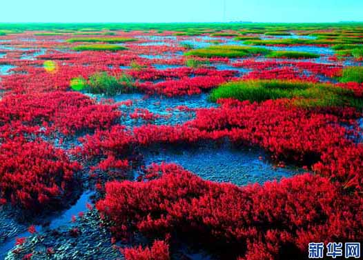 10 regi?es turísticas chinesas com lindas paisagens de outono