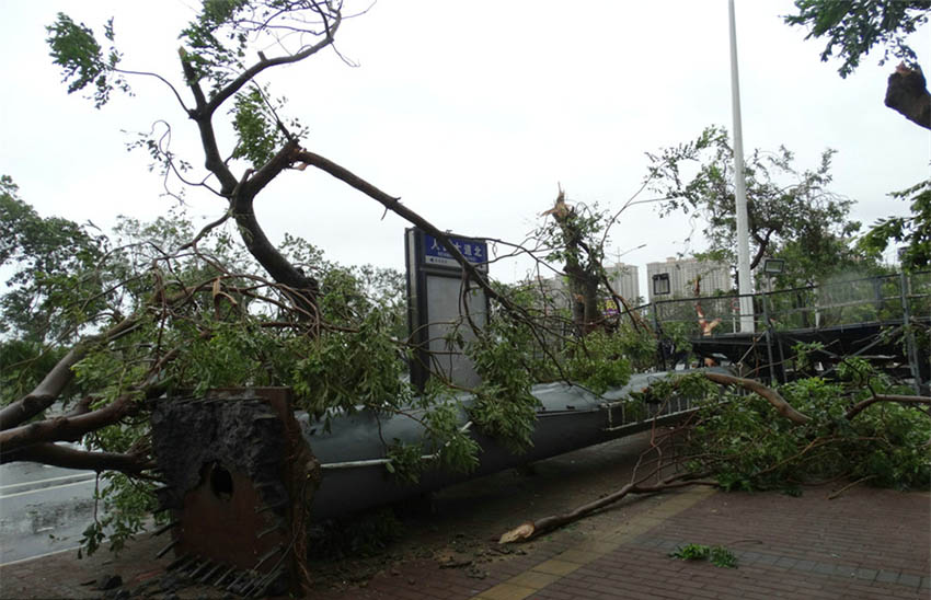 Tuf?o Mujigae mata 18 pessoas no sul da China