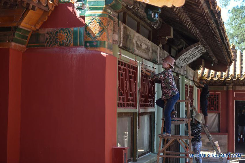 Palácio Museu celebra 90 anos de legado sustentável