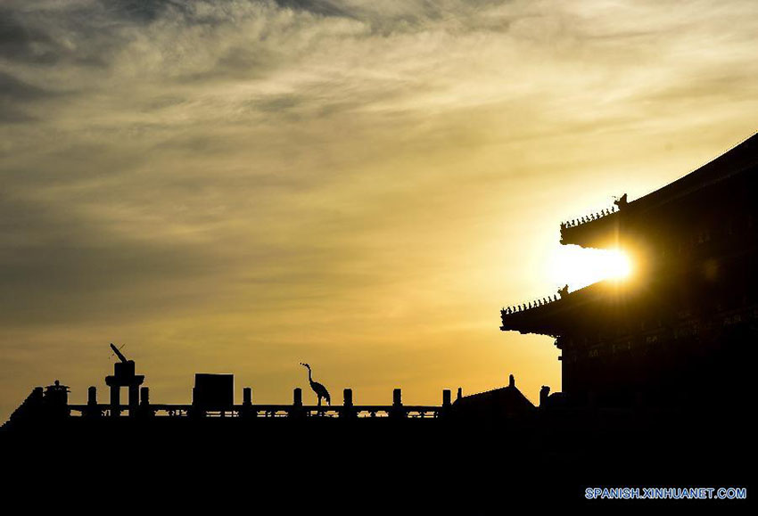 Palácio Museu celebra 90 anos de legado sustentável