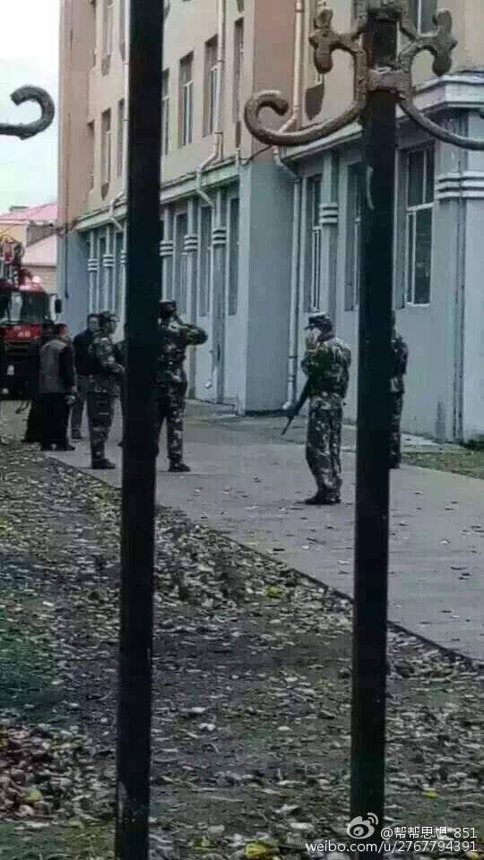 Urso negro é abatido em Heilongjiang após entrar numa escola