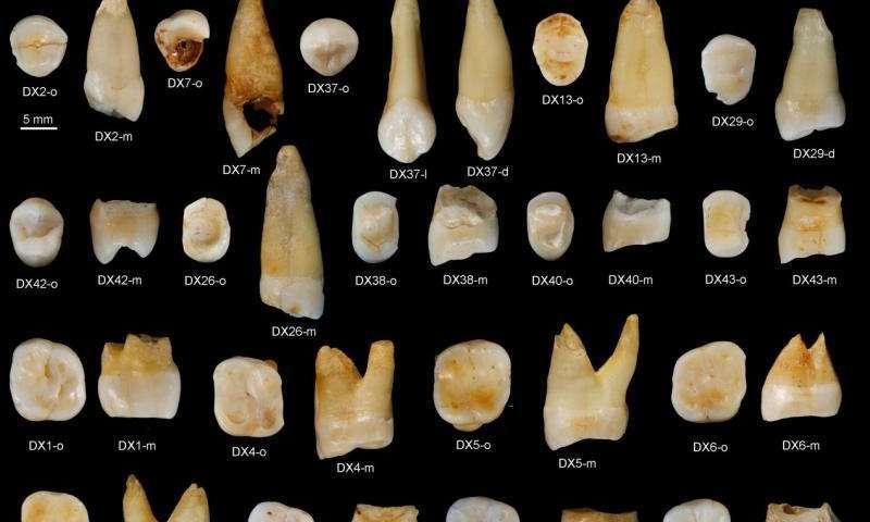 Descobertos em Hunan os fósseis humanos mais antigos do mundo até agora