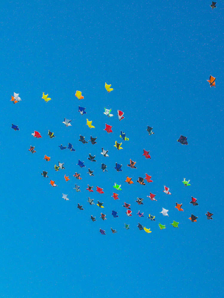 61 wingsuit flyers norte-americanos batem recorde mundial