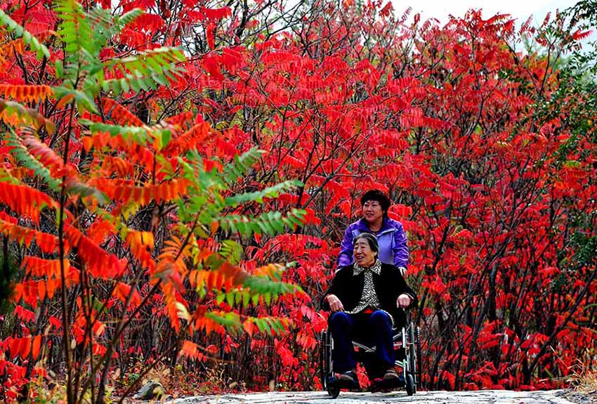 Cenário de final do outono na estrada nacional No 109 em Pequim