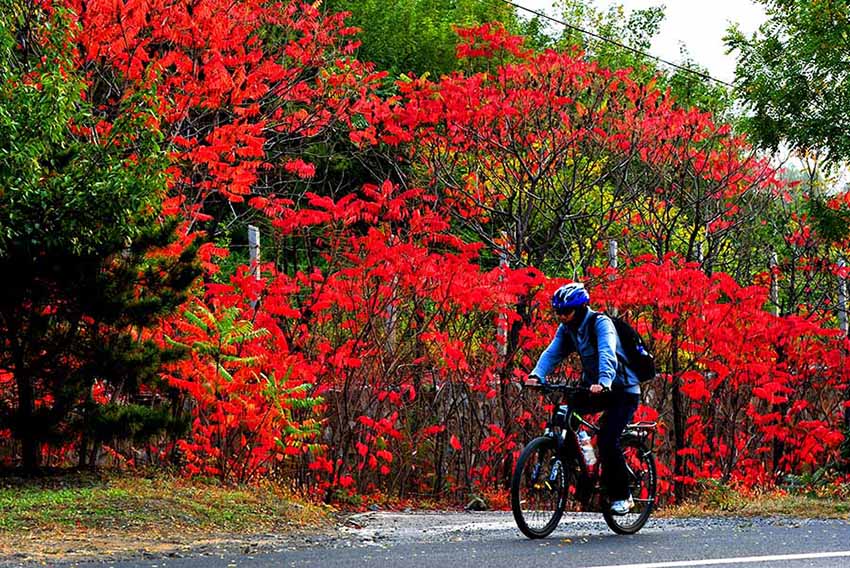 Cenário de final do outono na estrada nacional No 109 em Pequim