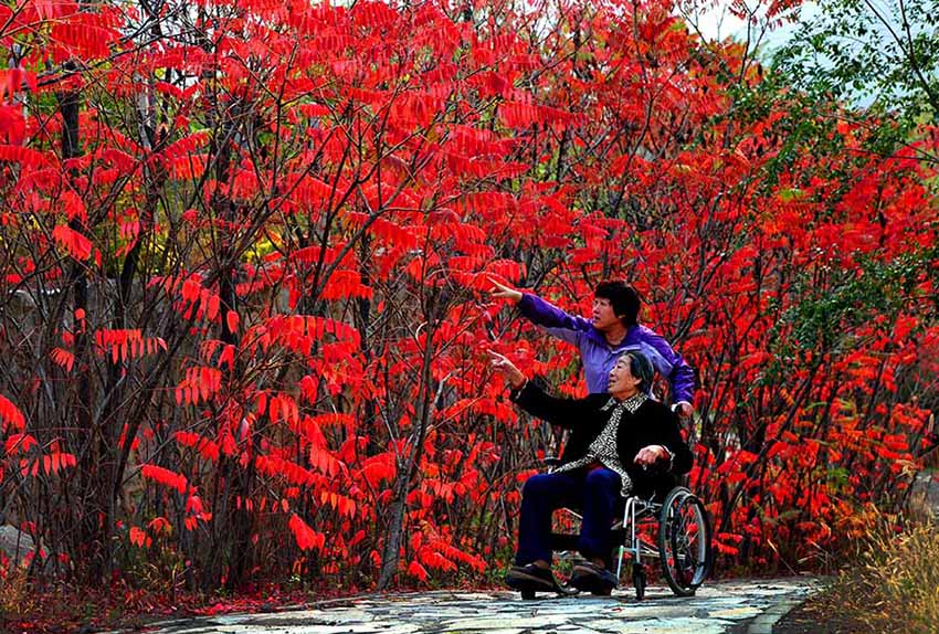 Cenário de final do outono na estrada nacional No 109 em Pequim