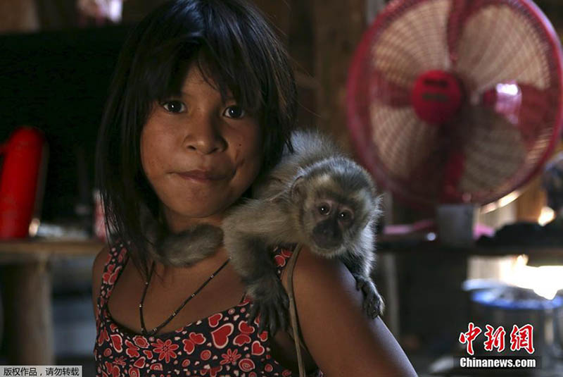 A moderna-antiga civiliza??o indígena do Brasil