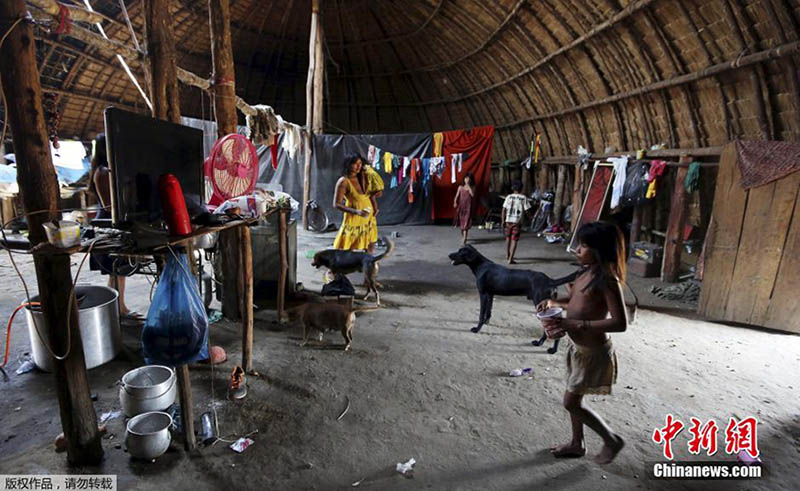 A moderna-antiga civiliza??o indígena do Brasil