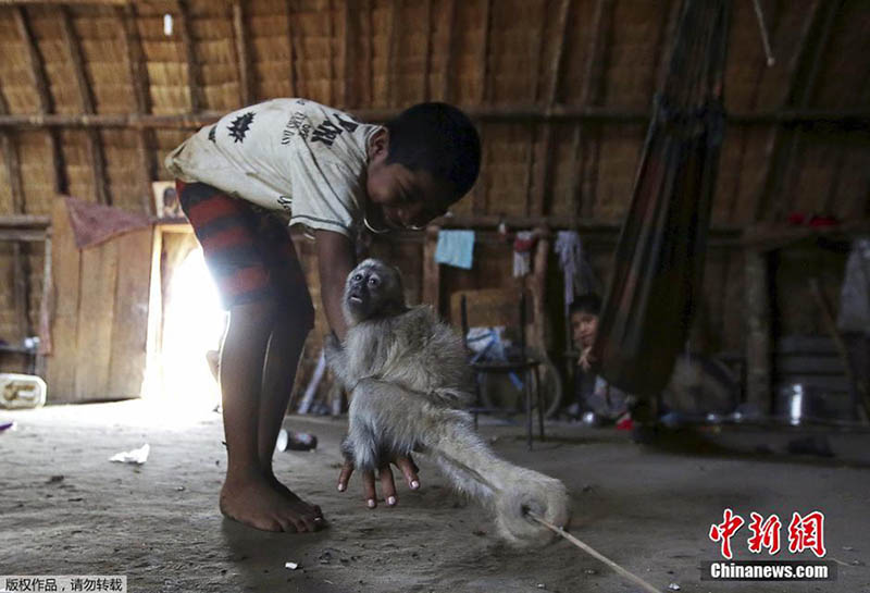 A moderna-antiga civiliza??o indígena do Brasil
