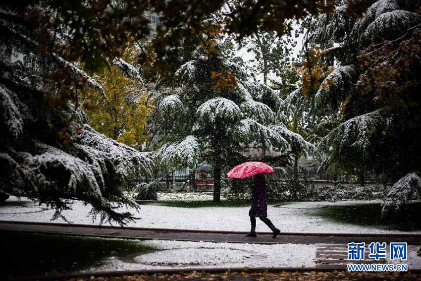 Primeiros flocos de neve abatem-se sobre Pequim