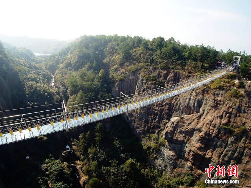Centenas de pessoas praticam yoga em prol de um estilo de vida saudável