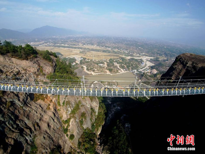 Centenas de pessoas praticam yoga em prol de um estilo de vida saudável