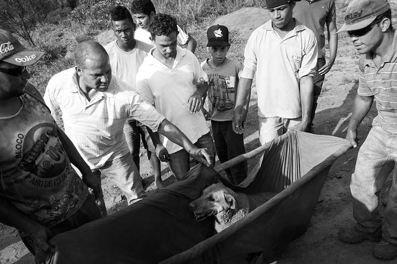 Brasil: Luta pela Vida