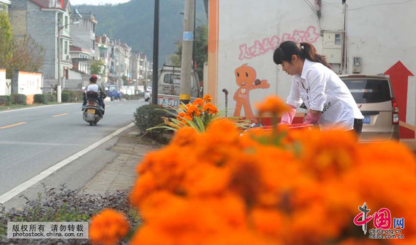 “Aldeia Taobao” triunfa no comércio eletrónico rural