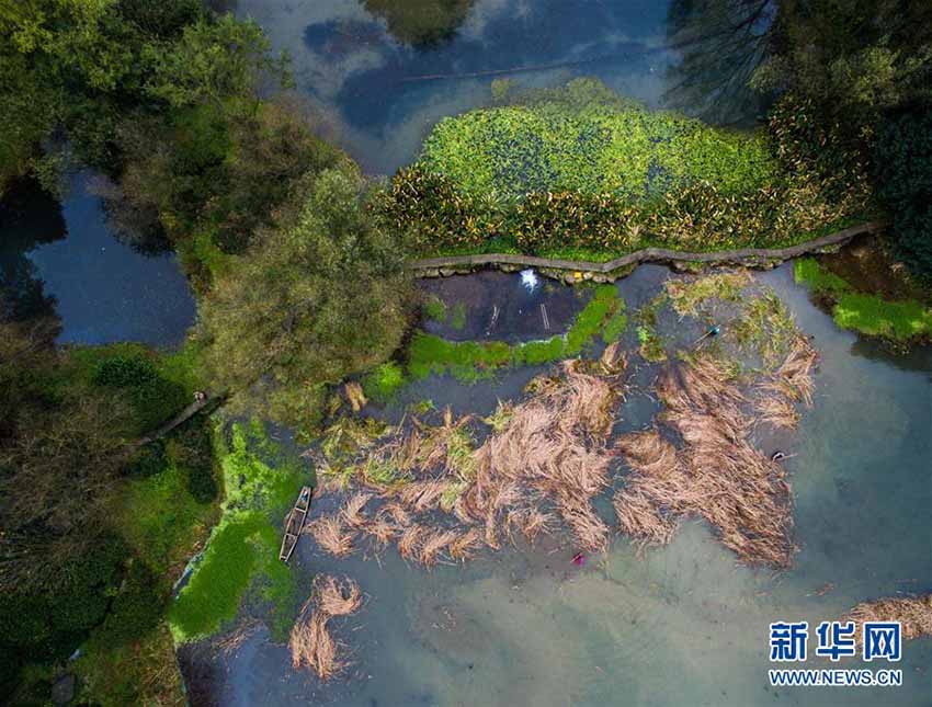 Paisagem de outono no Lago Oeste de Hangzhou