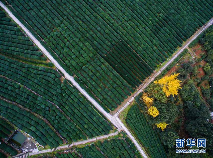 Paisagem de outono no Lago Oeste de Hangzhou