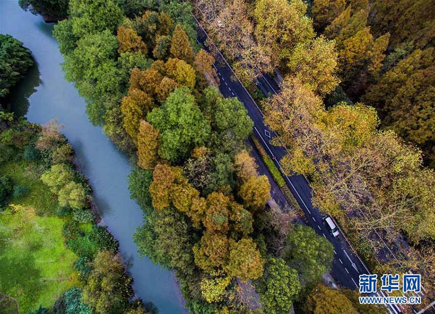 Paisagem de outono no Lago Oeste de Hangzhou