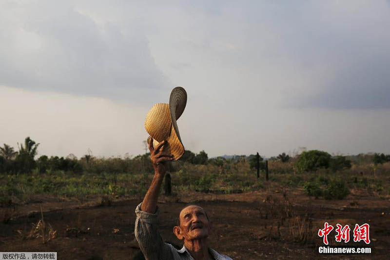 Floresta da Amazónia: século de grandes mudan?as
