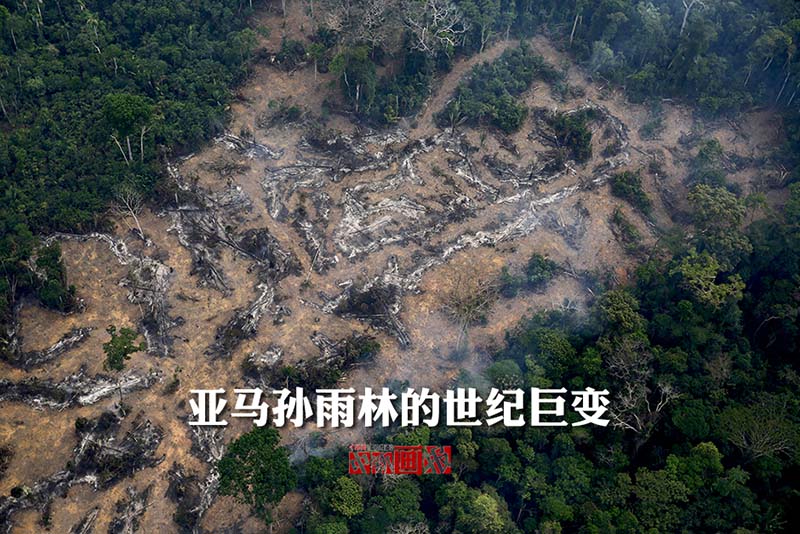 Floresta da Amazónia: século de grandes mudan?as