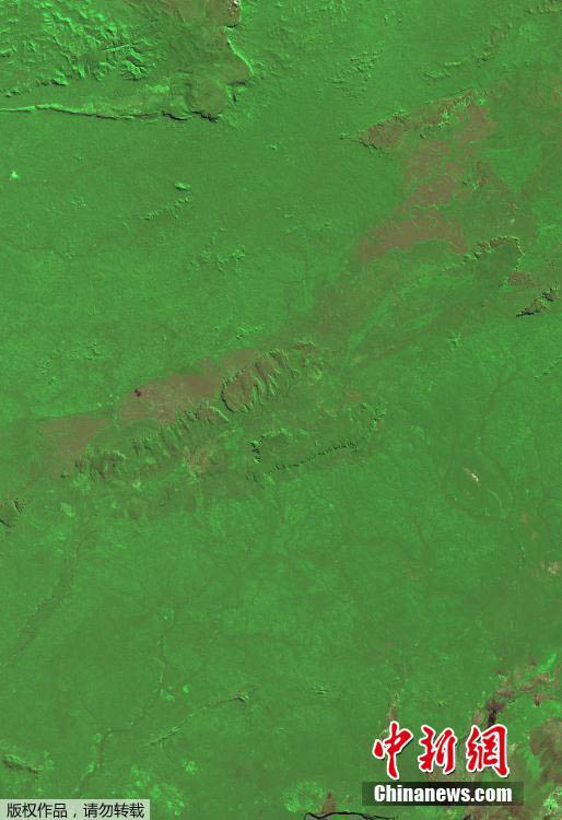 Floresta da Amazónia: século de grandes mudan?as