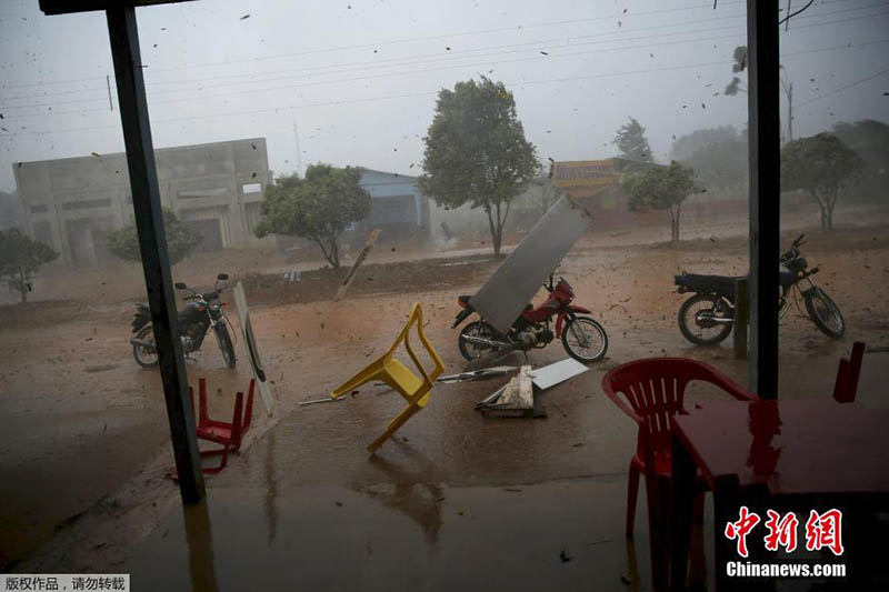 Floresta da Amazónia: século de grandes mudan?as
