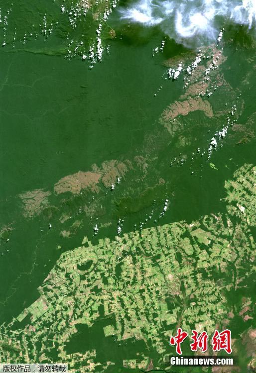 Floresta da Amazónia: século de grandes mudan?as