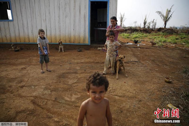 Floresta da Amazónia: século de grandes mudan?as