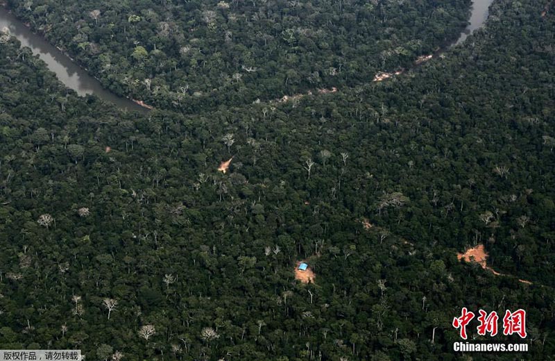 Floresta da Amazónia: século de grandes mudan?as