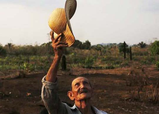 Floresta da Amazónia: século de grandes mudan?as