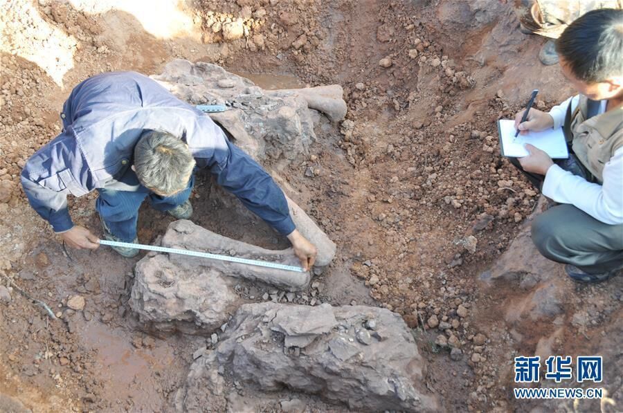 Fósseis de dinossauros de 180 milh?es de anos s?o descobertos em Yunnan