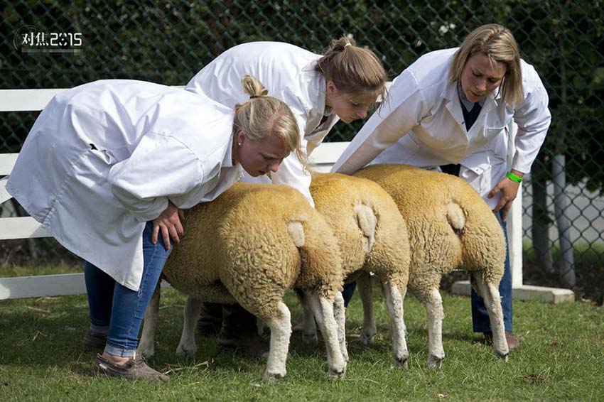 15 momentos interessantes de 2015