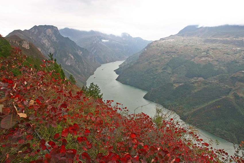 Dez cidades chinesas com mais hábitos de leitura