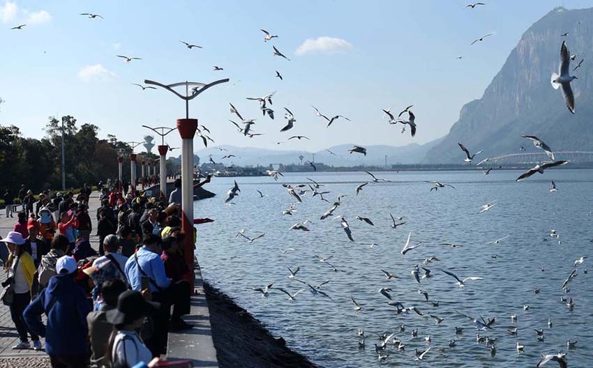 Dez cidades chinesas com mais hábitos de leitura