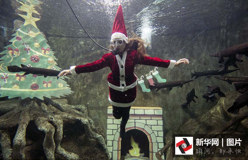  M?es natais roubam protagonismo ao velhinho rechonchudo