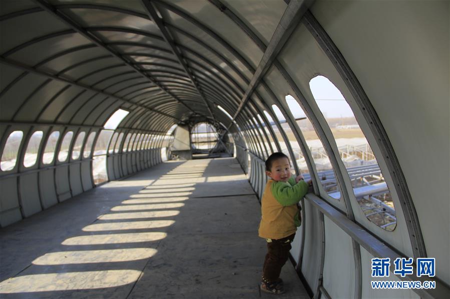 Camponês chinês constrói réplica artesanal de avi?o