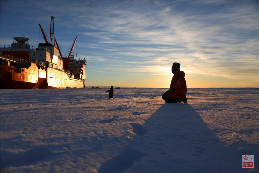 Momentos marcantes de 2015