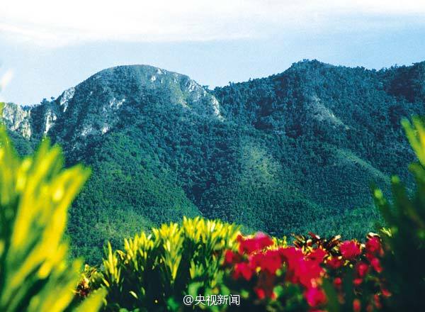 Ferrovia de alta velocidade come?a a funcionar em ilha do sul