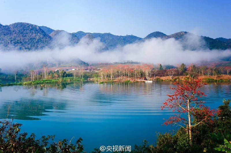 Ferrovia de alta velocidade come?a a funcionar em ilha do sul