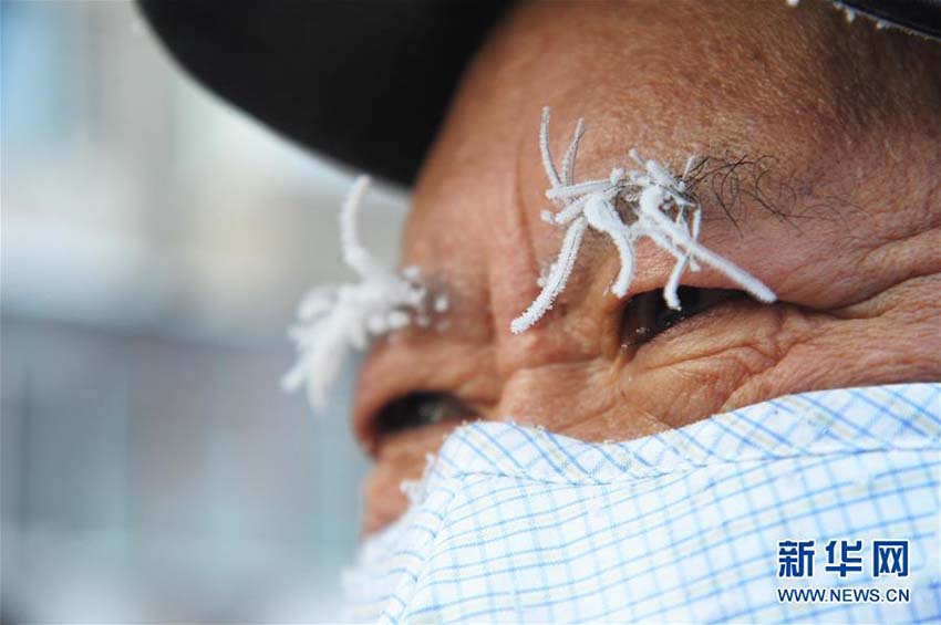 Harbin entra na esta??o mais fria do ano