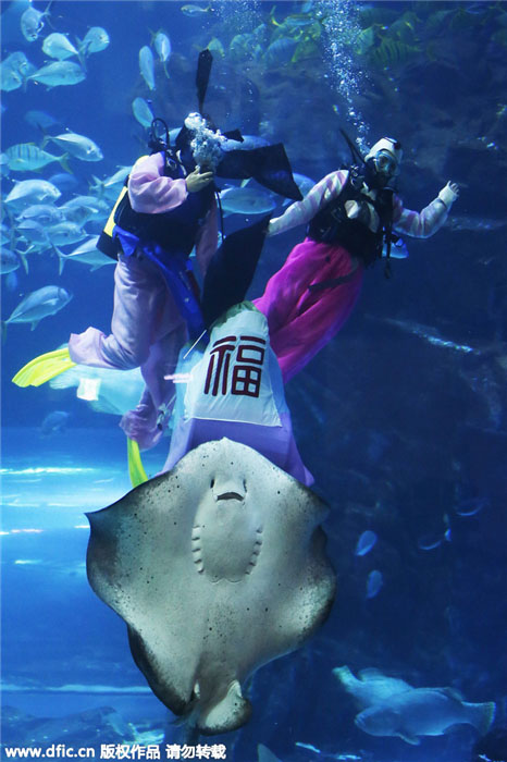 Celebra??es globais marcam o início do novo ano