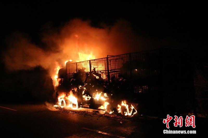 Incêndio num caminh?o provoca a morte de 300 ovelhas