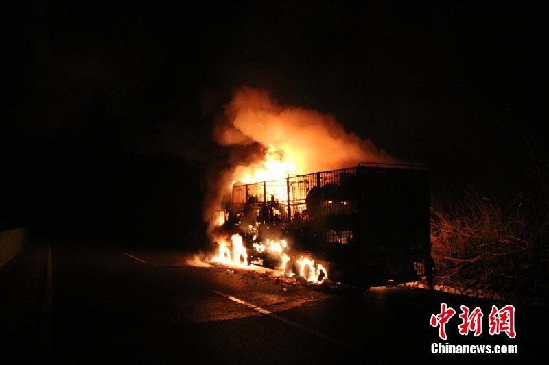 Incêndio num caminh?o provoca a morte de 300 ovelhas