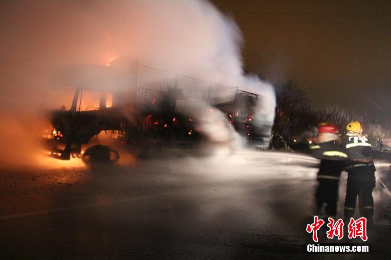 Incêndio num caminh?o provoca a morte de 300 ovelhas