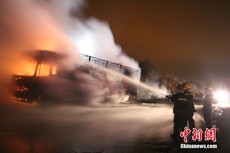 Incêndio num caminh?o provoca a morte de 300 ovelhas