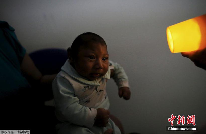 OMS lan?a resposta global para enfrentar surto do vírus Zika